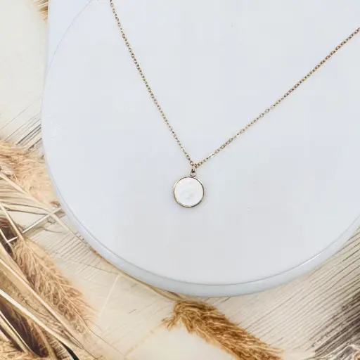 WhatsApp Image 2025 11 14 at 134944 1a1f6569