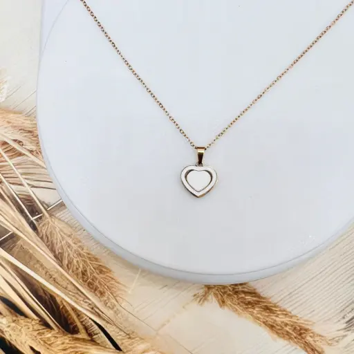 WhatsApp Image 2025 11 14 at 134945 2d537465