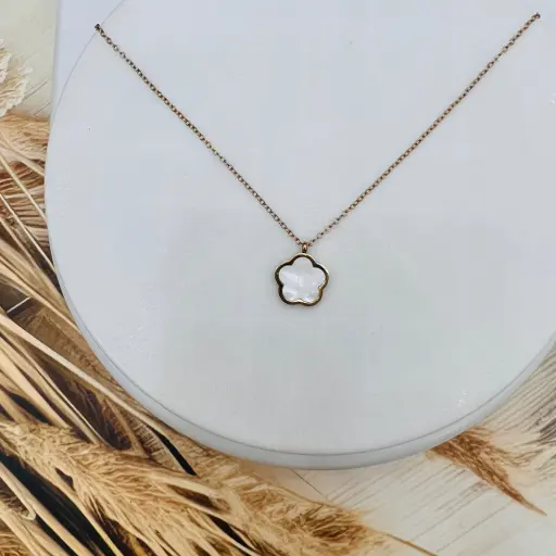 WhatsApp Image 2025 11 14 at 134945 d8369cc9