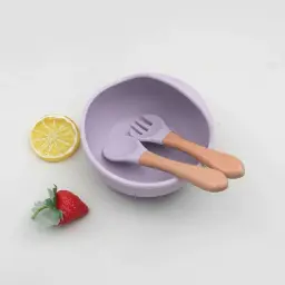 BPA Free Safe Non Toxic Silicone Baby Feeding Supplies Bowl Set with Fork