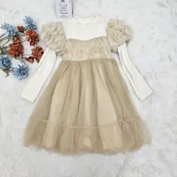 Puffy Mesh Sleeve Little Girl Long Sleeve Princess Dress