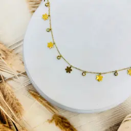 WhatsApp Image 2025 11 14 at 134944 96c70c97